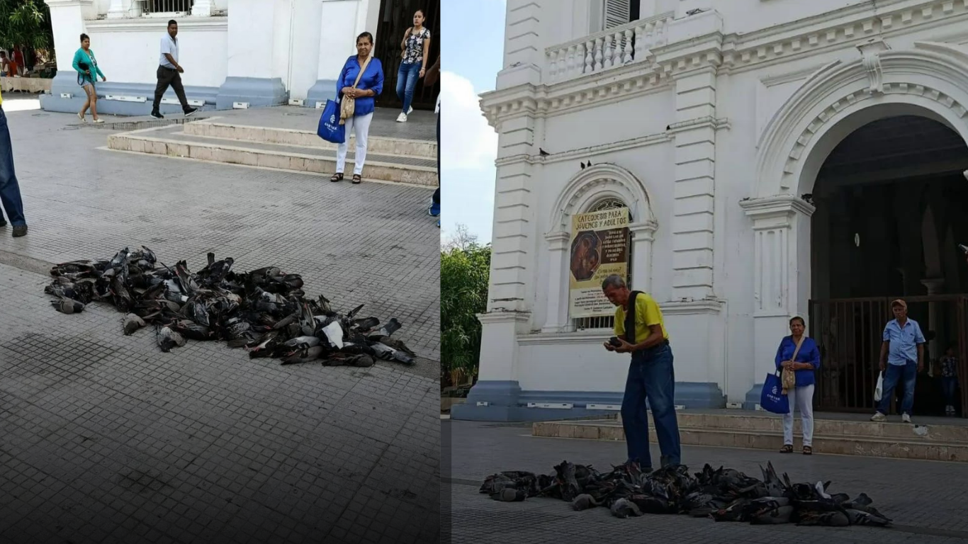 Montería amaneció sin alas un 23 de enero de 2026