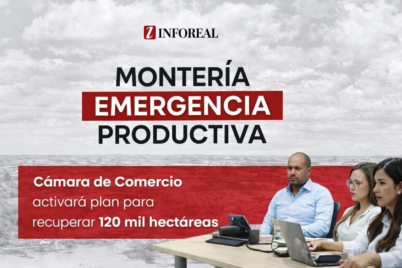  Cámara de Comercio de Montería activará plan para recuperar 120 mil hectáreas