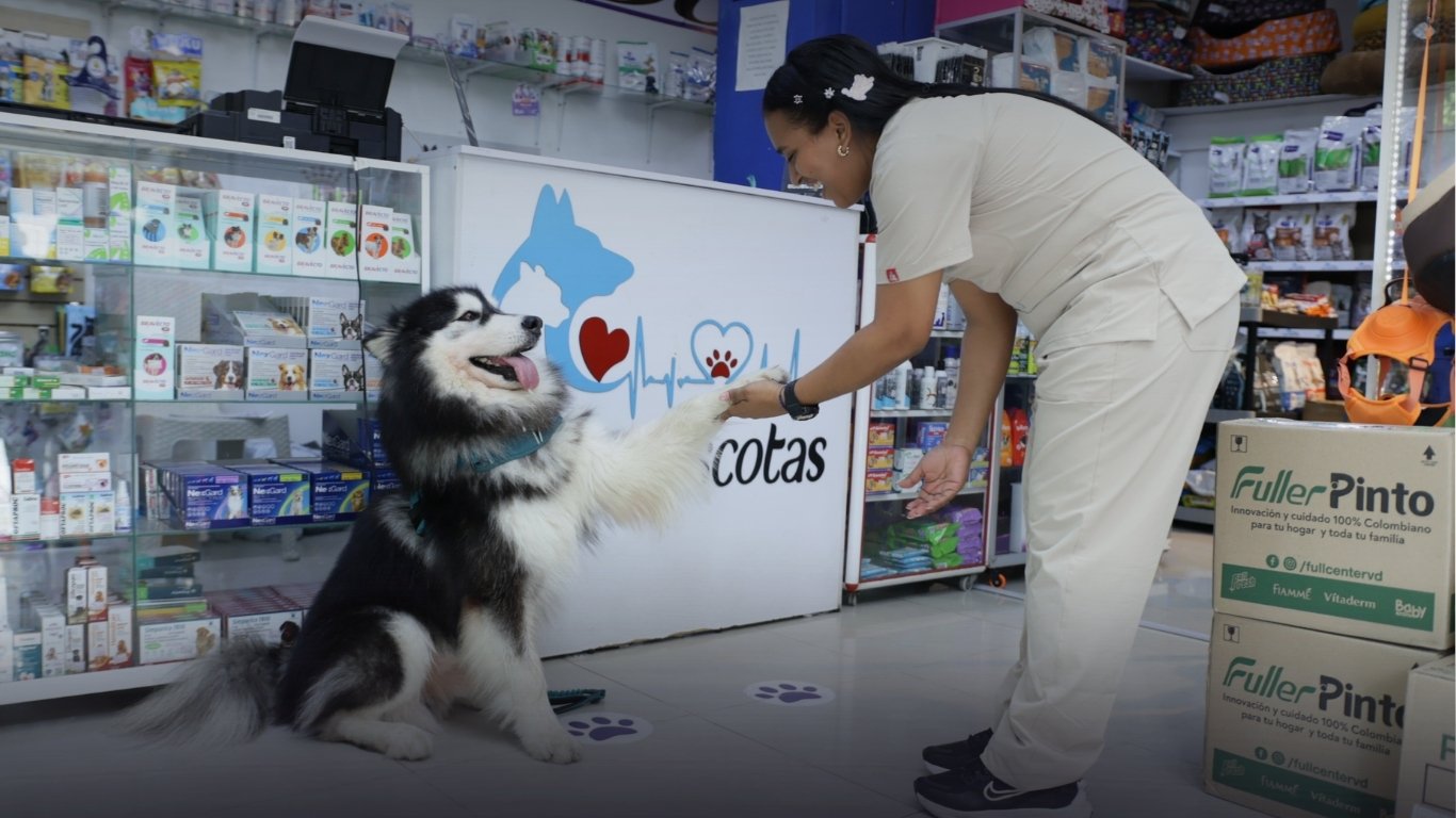 Más que un Centro Veterinario: el compromiso de Solo Mascotas con el bienestar animal y la salud de las familias